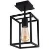 Image de Plafonnier CRATE noir 1xE27x60W en métal, dimensions : 31x15x15 cm, IP20, Nowodvorski Lighting