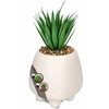 Image de KADAX Succulentes "Rouy", petite plante artificielle avec pot, 1 pièce, blanc, 10,5 cm