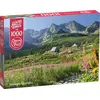 Image de Puzzle 1000 pièces Casienicova Hall In, Tatras 30059 Cherry Pazzi