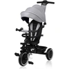 Image de Tricycle et poussette multifonctions Lionelo Berry de 9 mois à 5 ans jusqu'à 25 kg Grandes roues en PU, siège pivotant à trois roues 360° Gris