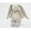 Image de Moonie Bunny 2.0Gris