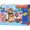 Image de Puzzle 120 pièces Chatons avec Fleurs - Castorland 13524