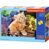 Image de Puzzle 180 pièces Chaton Gingembre 18178