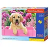 Image de Castorland Labrador Puppy in Pink Box Puzzele 300 T B-030071