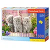 Image de Castorland Trois chatons gris - 300 pièces