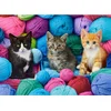 Image de Puzzle 300 pièces Chatons dans la boutique de laine Castorland 30477