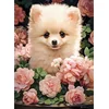 Image de Puzzle 300 pièces Chiot Pomeranien dans les Roses 030552 Castorland