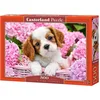 Image de Puzzle 500 pièces Pup Fleurs Roses 52233
