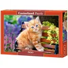 Image de Puzzle 500 pièces Chaton Gingembre 52240