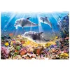 Image de Puzzle 500 pièces Dauphins 52547