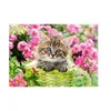 Image de Puzzle 500 pièces Chaton 52974