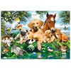 Image de Puzzle 500 pièces Amis d'Été 53230