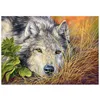 Image de Puzzle 500 pièces Loup 53285