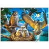 Image de Puzzle 500 pièces Famille de Hiboux 53322