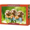 Image de Puzzle 500 pièces Mignons Teckels Castorland 53605