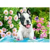 Image de Puzzle 500 pièces French Bulldog Chiot Castorland 53650