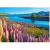 Image de Puzzle 500 pièces Lake Tekapo 53896 Castorland