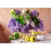 Image de Castorland Puzzle lilas Nature morte - Puzzle de 500 pièces