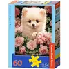 Image de CASTORLAND Puzzle Six Pomeraniana en rangées de 60 pièces