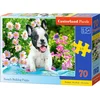 Image de CASTORLAND Puzzle 70 pièces - Chiot Bouledogue Français