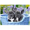 Image de Puzzle 1000 pièces Chiots de Bouledogues Français 104246