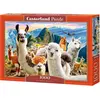Image de Puzzle 1000 pièces Llamas Selfie Castorland 104758