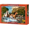 Image de Puzzle 1000 pièces Horse Wolderland Castorland 104789