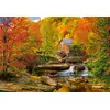 Image de Puzzle 1000 pièces Magical Autumn 104918 Castorland