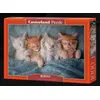 Image de Puzzle 1000 pièces The Sweetest Kittens 105144