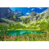 Image de Castorland Puzzle Zelene Pleso Tatras Slovaquie - 1000 pièces puzzle