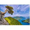 Image de Castorland Puzzle Lake of Uri Suisse - 1000 pièces Puzzle