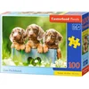 Image de Puzzle 100 pièces Mignons Teckels Castorland 111213