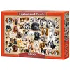 Image de Puzzle 1500 pièces Collage avec des Chiens Castorland 151943