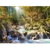 Image de Puzzle 2000 pièces Forêt ensoleillée avec ruisseau 200382