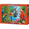 Image de Puzzle 2000 pièces Parrot Meeting 200870 Castorland