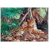 Image de Puzzle 3000 pièces Jaguars dans la jungle 300280