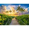 Image de Puzzle de 3 000 pièces « Couches de soleil colorées à Miami, États-Unis » 300617 Castorland