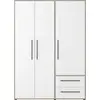 Image de FORTE Jupiter : Armoire de 140 cm de largeur, modèle 150, armoire, modèle à portes battantes, 3 portes, avec 2