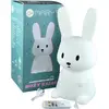 Image de Veilleuse LED Hare white large