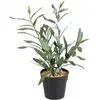 Image de Plante Artificielle Arbre A Huile Dans Un Etang Realiste 35Cm Croix De Coupe