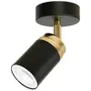 Image de Lampe d'appoint moderne plafond noir Reno