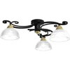 Image de Plafonnier Aurora Noir 3 Globes Verre E27 Luminex