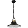Image de Suspension Industrielle Noire Laiton Iron E27 Luminex