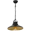 Image de Suspension Iron noir mat-or mat 1xE27x15W métal dim. : 62x31x31 cm IP20 Luminex