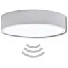 Image de TEMAR Plafonnier 00172 CLEO 400 + capteur HF IP54 SR argent mat 3xE27