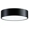 Image de TEMAR Plafonnier 19815 CLEO 300 IP54 noir, 2xE27