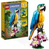 Image de LEGO Creator 3-en-1 Le Perroquet Exotique, Figurines Animaux de la Jungle, avec Grenouille et Poisson, 31136