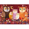 Image de D-TOYS Puzzle Hiboux 1000 pièces