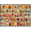 Image de Casse-tête 1000 fleurs