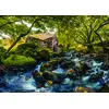 Image de Moulin à eau Roovi - 1000 pièces